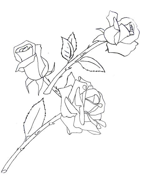 Closed Rose Drawing at GetDrawings | Free download