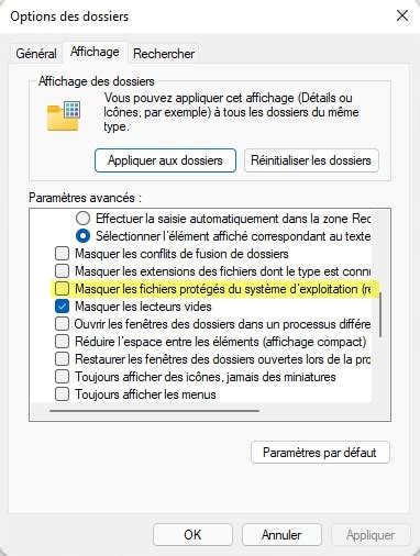 Comment afficher les fichiers cachés sur Windows 11 malekal