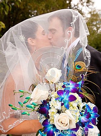 Bride And Groom Kissing Under Veil Royalty Free Stock Photography