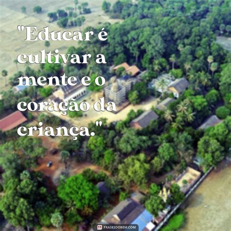 Frases Educação Augusto Cury