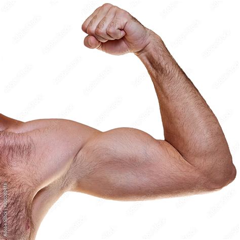 Mature Handsome Man With A Naked Torso Stock Photo Adobe Stock
