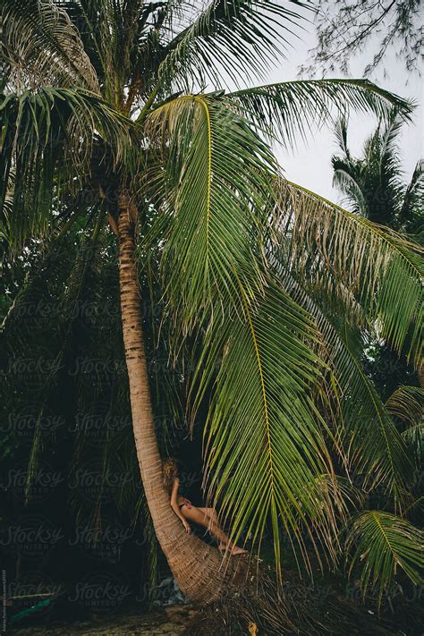 Nude Against Palm Tree Bikini Model Naked Getabikini Usa My XXX