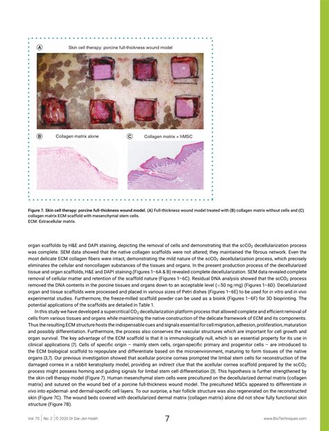 Protocols For The Preparation And Characterization Of Decellularized