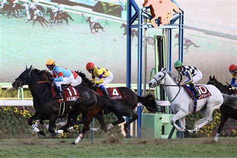 Win5は480万円超の払戻し 競馬ニュースなら競馬のおはなし