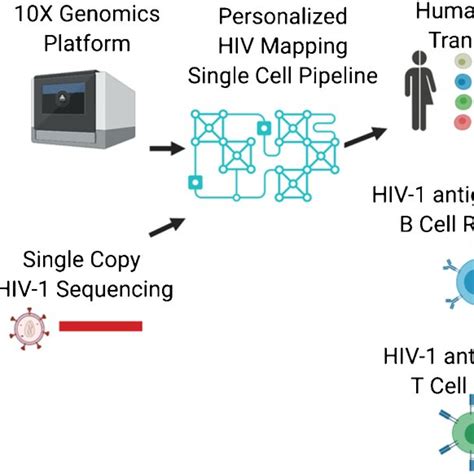 Conceptual Single Cell Multimodal Study Of HIV In The CNS Using CSF In