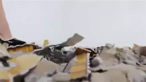 Goddess Eagle Elokim Giantess Free FBB Porn Ef XHamster