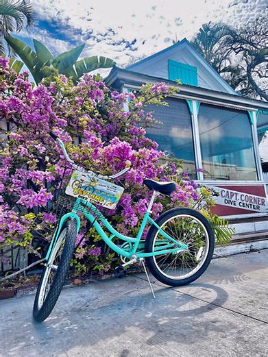 Key West Bike Rentals Key Lime Bike Tour