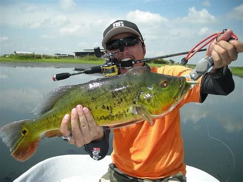 3 Ways to Make Bluegill Bait | Methods of Taking Bait