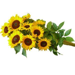 Mazzo Lungo Di Girasoli Fiori A Cornuda Bouquet Addobbi Per