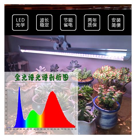 全光谱多肉补光灯仿太阳光绿植光照灯室内家用上色led植物生长灯虎窝淘