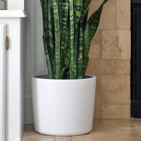 Willowy 12 Inch Large Matte White Ceramic Planter 12 Inch Pots For