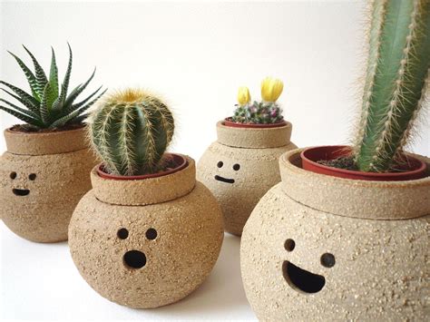 Lindas Macetas Para Tus Cactus Y Suculentas Materiales Criterios