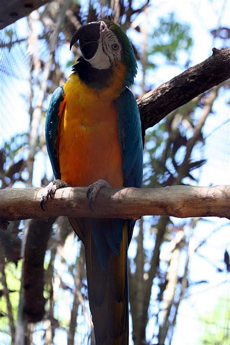 Nanny's Educational Zoo - 162 Photos - 80 Reviews - Petting Zoo - 1139