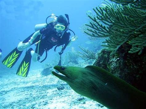 Barrier Reef Scuba Diving - San Pedro, Belize | Anywhere