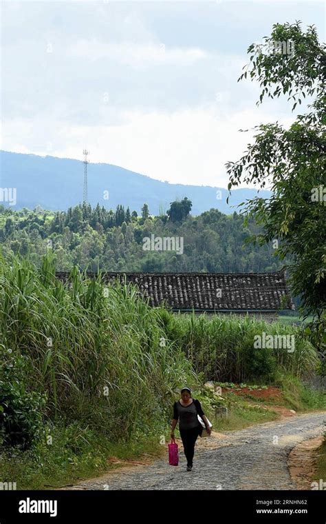 161130 KUNMING 30 De Noviembre De 2016 La Doctora Yin Zuluan