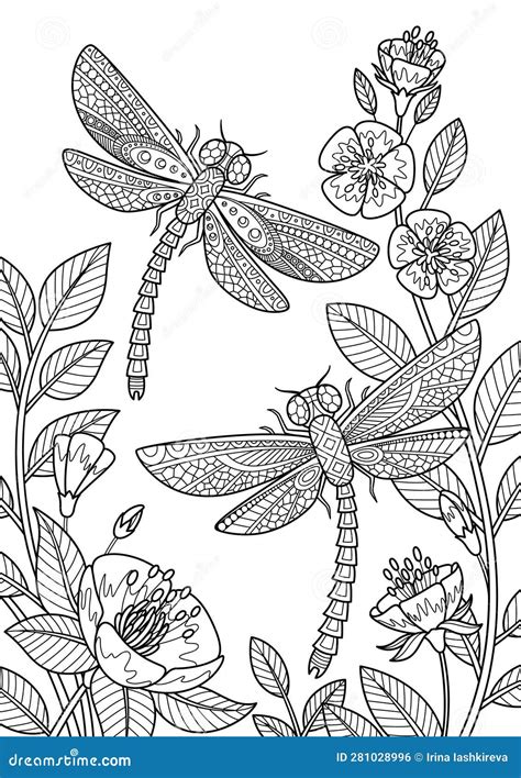 Doodle Coloring Dragonflies Flying In Flowers Black And White