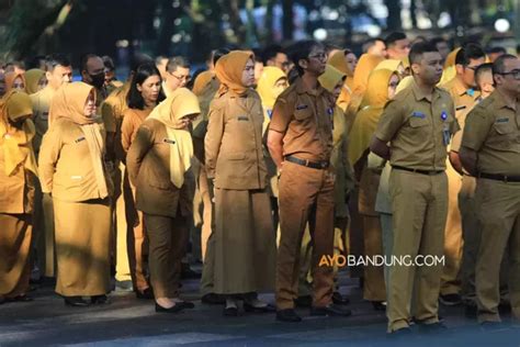 H Kelulusan Pppk Menpan Rb Pastikan Peserta Yang Tak Lolos