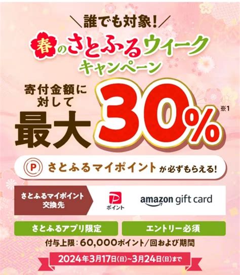 追記【さとふる】ふるさと納税 誰でも35 5 還元！最大44 還元 ひびきのひび 夫婦でお得活動。ポイ活・ぼちぼち懸賞。家族時間を大切に♡