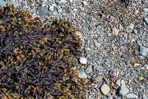 _MG_8284.jpg | cs133 | Flickr