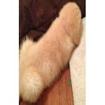 Ana Rose Porn Videos Verified Pornstar Profile Pornhub