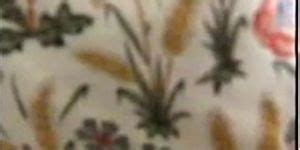 Charmaine Sinclair Solo Porn Videos