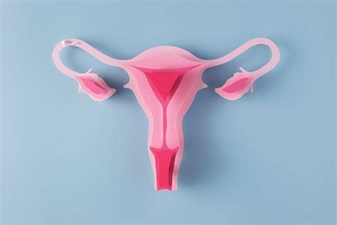 Patologías Del Sistema Reproductor Femenino Y Diagnóstico