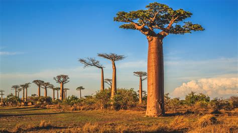 Erlebnisreise Ab An Antananarivo Berge Meer