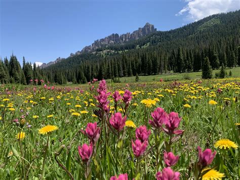 San Juan Mountains Colorado : r/hiking