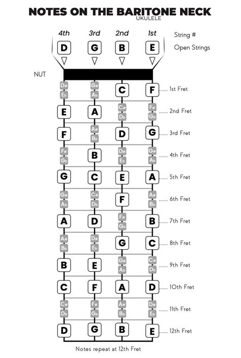 Baritone Ukulele Fretboard