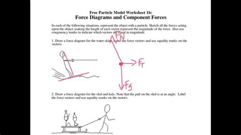 Force Diagrams And O Component Forces Worksheet 1b Answers F