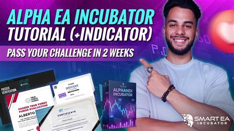 Pass Any Prop Firm Challenge Alpha EA Incubator Tutorial YouTube