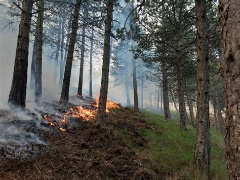 Prohibido Hacer Fuego En El Campo Y Alerta Por Incendios Hasta El De