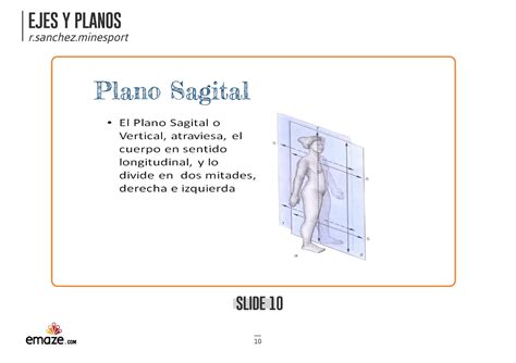 Ejes Y Planos Introducci N Anatom A Humana Ppt