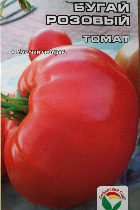 Томат Бугай розовый: ОТЗЫВЫ (6), фото, описание и характеристика ...