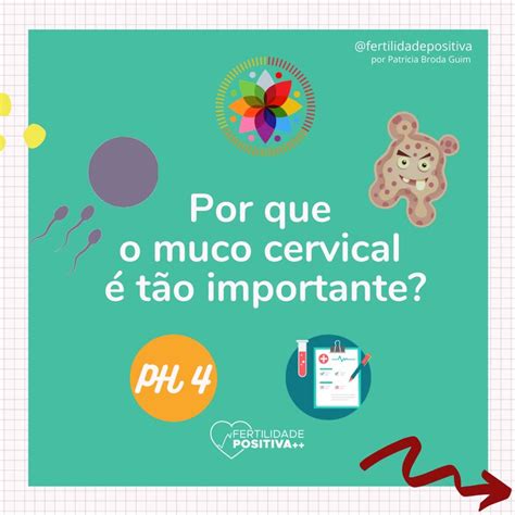 Por que o muco cervical e tão importante Muco cervical Fertilidade