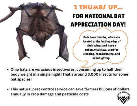 Ohio Bat Working Group