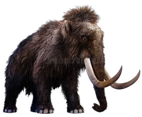 Mamut ilustracji. Ilustracja złożonej z słoń, mamut, ampuła - 81800837