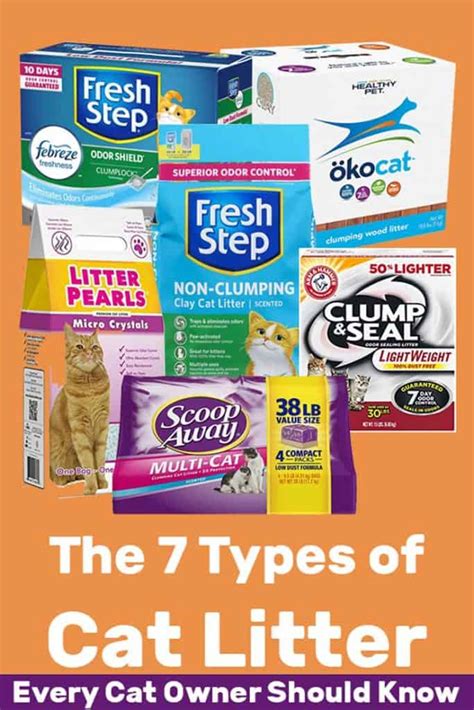 The 7 Types of Cat Litter Every Cat Owner Must Know - Litter Boxes Magazine