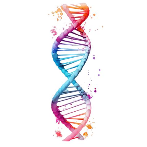 Der Bau Der Dna 11