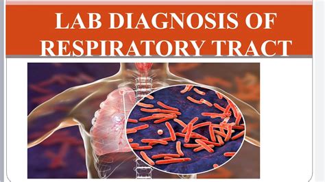 Lab Diagnosis Of Respiratory Tract Infection Microbiology Medical