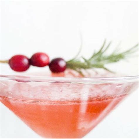 Holiday Cranberry Martini Momtrends