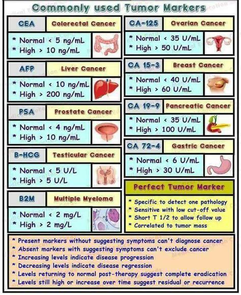 Most Common Tumor Markers Medizzy