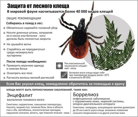 Прививка от клещевого энцефалита: схема вакцинации и побочные эффекты