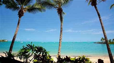 visit airlie beach   airlie beach queensland travel