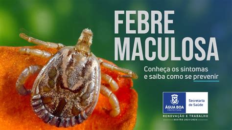 Febre Maculosa Veja O Que Quais S O As Causas Sintomas E Como