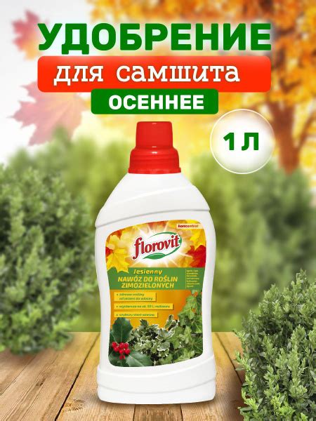 Удобрение Florovit осеннее жидкое для самшита и других вечнозеленых ...