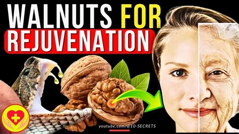 Walnuts Benefits And Harms Properties Secrets Of Rejuvenation