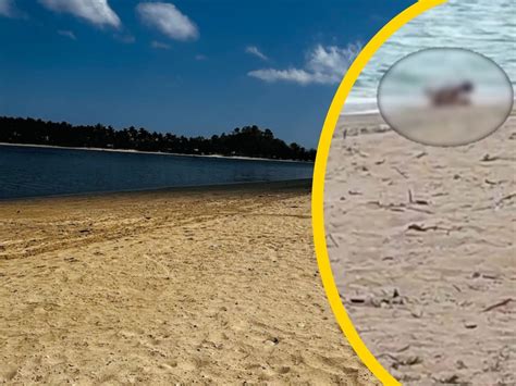 Hei E Liebe Am Tropenstrand Touristen P Rchen Beim Sex In Der Ffentlichkeit Erwischt