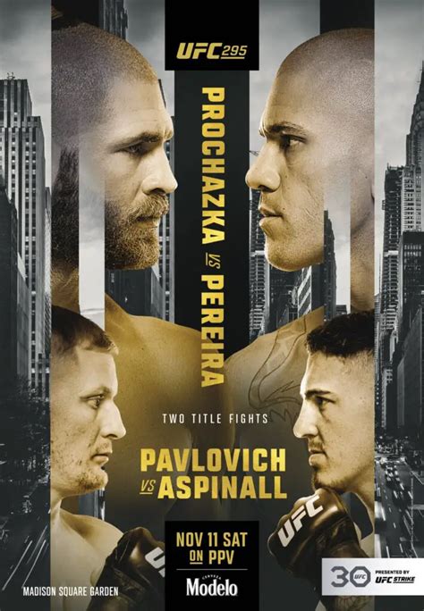 Se revela nuevo póster para el UFC 295 MMA AL DÍA