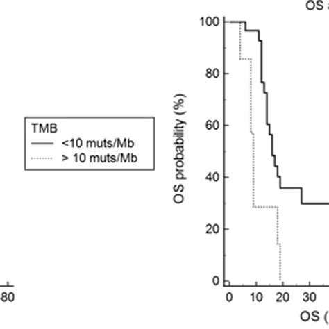 Impact Of Egfr Amplification And Hypermutation On Clinical Outcome The